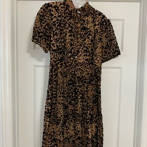 Ivy Cityc Co Dress - Anna in Leopard